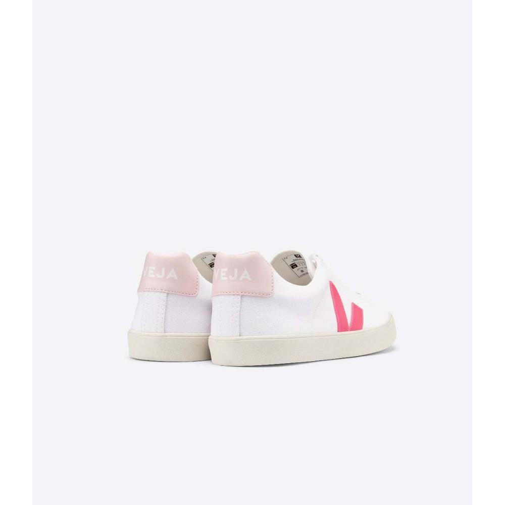 Women's Veja ESPLAR SE CANVAS Shoes White/Orange/Pink | SG 513ZUT